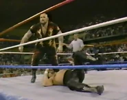 1.16.88 WWF Superstars.00009.jpg (71 KB)