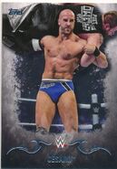 2016 Topps WWE Undisputed Wrestling Cards Cesaro 8