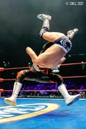 CMLL 7-23-21 20.jpg (178 KB)