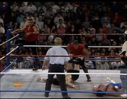 December 11, 1993 WWF Superstars 3.jpg (75 KB)