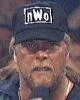 Kevin Nash sporting a neat N.W.O. hat.