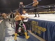 WrestleWar 1991.00037.jpg (23 KB)