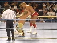 WrestleWar 1991.00011.jpg (24 KB)