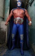 Blue Demon Jr. 8