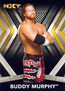 2017 WWE NXT (Topps) Buddy Murphy (No.10)