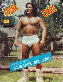 Lucha Libre 944