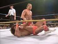 Wrestlewar 1991 13.jpg (65 KB)