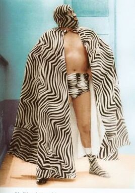 Zebra Kid 1
