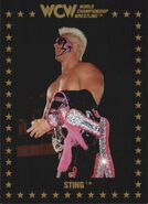 1991 WCW Collectible Trading Cards (Championship Marketing) Sting (No.1)