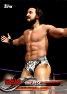 2018 WWE Wrestling Cards (Topps) Tony Nese (No.92)