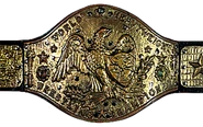 NWF Heavyweight Championship.png (134 KB)