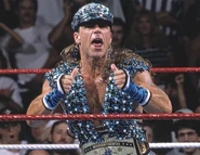 SummerSlam 1995.2.jpg (34 KB)