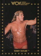 1991 WCW Collectible Trading Cards (Championship Marketing) Terry Taylor (No.33)