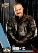 2021 AEW (Upper Deck) Jake Roberts (No.73)