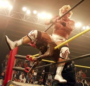 TNA 11-20-02 3.jpg (42 KB)