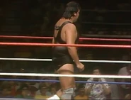 TNT 50 11.jpg (52 KB)