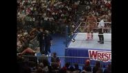 WrestleMania VII.00039