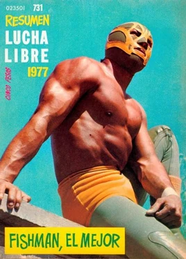 Lucha Libre 731