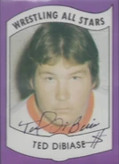 1982 Wrestling All Stars Series A and B Trading Cards (no.4)