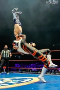 CMLL 7-23-21 19.jpg (186 KB)