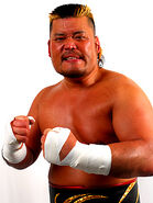 Hiroyoshi Tenzan 3