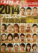 Weekly Pro Wrestling No. 1714 December 5, 2013