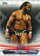 2019 WWE Raw Wrestling Cards (Topps) Tony Nese (No.89)