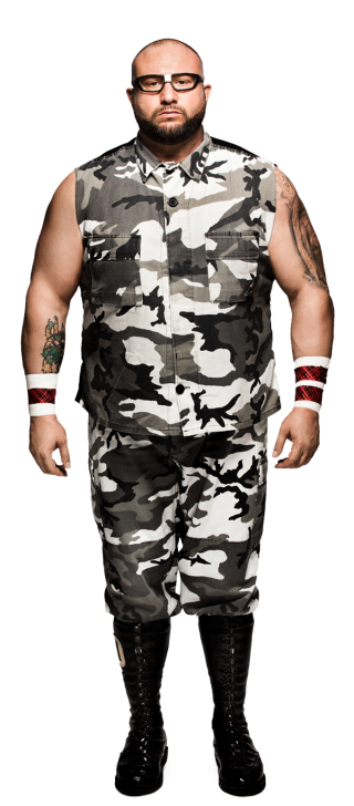 Bubba Ray Dudley | Pro Wrestling | Fandom.