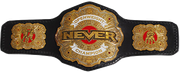NEVER Openweight Championship Belt
