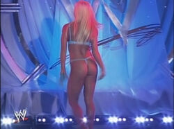 WWE Divas Undressed Pro Wrestling Fandom