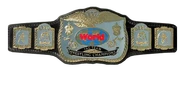 WWF World Tag Team Titles (1987-1998)
