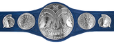 WWE Smackdown Tag Team Championship.png