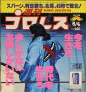 Weekly Pro Wrestling No. 734 June 4, 1996