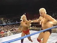 WrestleWar 1991.00018.jpg (21 KB)