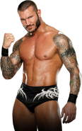 Randy Orton 7