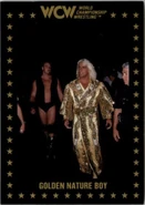 1991 WCW Collectible Trading Cards (Championship Marketing) Golden Nature Boy (No.68)