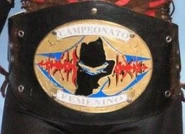 FULL women's championship.png (121 KB) FULL Women's Championship (2016-2020)