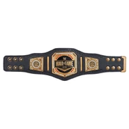 Hall of Fame 2020 Mini Replica Title Belt