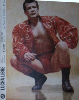 Lucha Libre 46