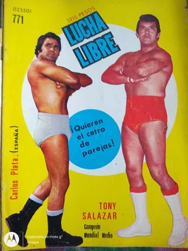 Lucha Libre 771