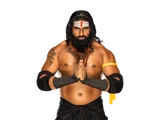 Veer
