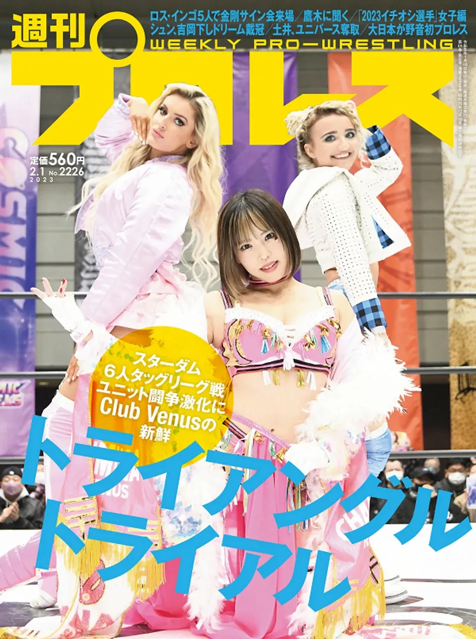 Club Venus/Magazine covers Pro Wrestling Fandom