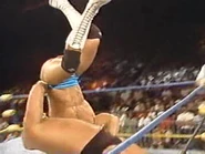 WrestleWar 1991.00028.jpg (17 KB)
