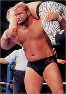 Arn-Anderson