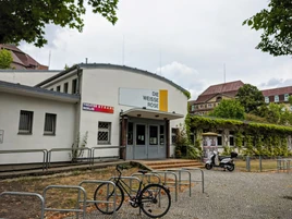 Die Weiße Rose