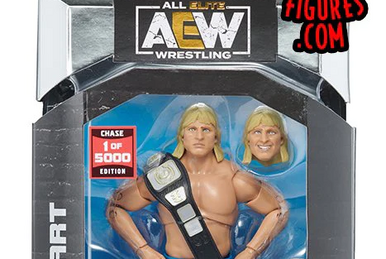 Owen Hart (AEW Unmatched Series 6), Pro Wrestling