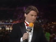 Wrestlewar 1991 18.jpg (41 KB)
