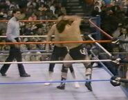 1.16.88 WWF Superstars.00011