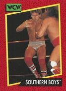 1991 WCW (Impel) Southern Boys (No.130)