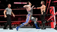 6-4-18 Raw 8.jpg (111 KB)